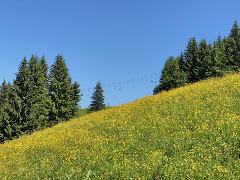 Summer in St Johann. Image © PlanetSKI